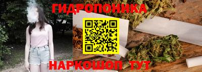 молекула духа Новозыбков